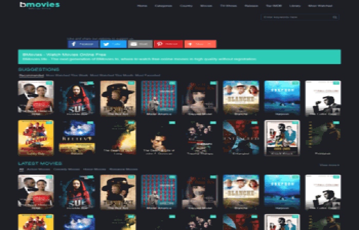 Image result for Bmovies