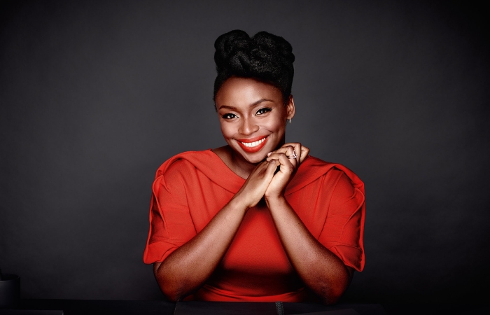 image result for chimamanda Ngozi - hot black women