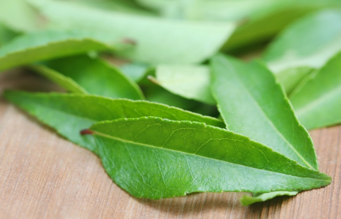 image result for curry leaf