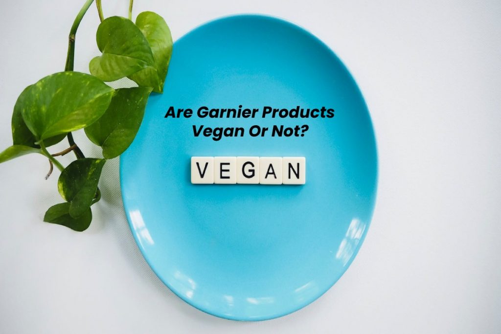 Vegan lifestyle