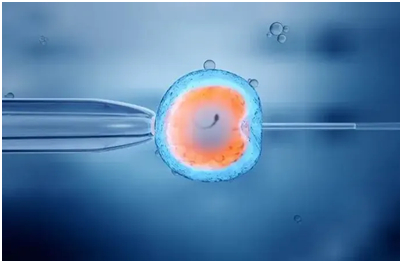 IVF clinics