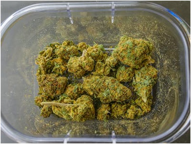 Weed Delivery